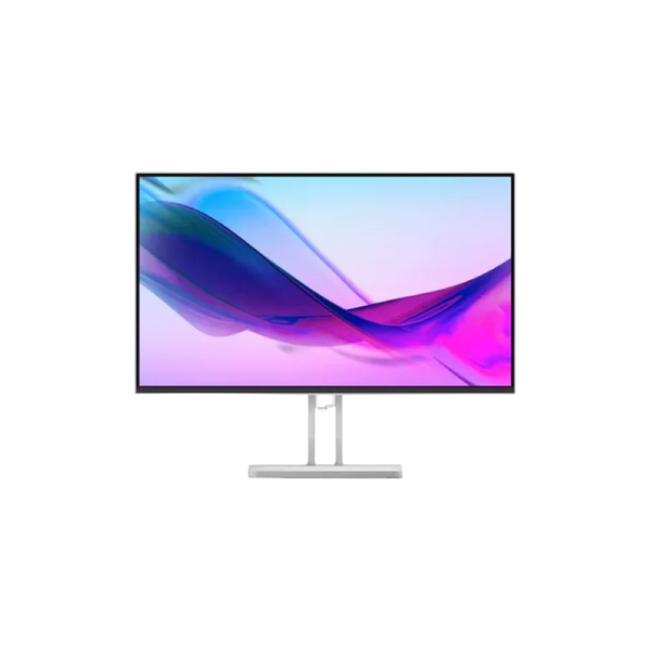Lenovo L24i-4A (D24238FL0) 23.8-inch IPS FHD 100Hz Monitor
