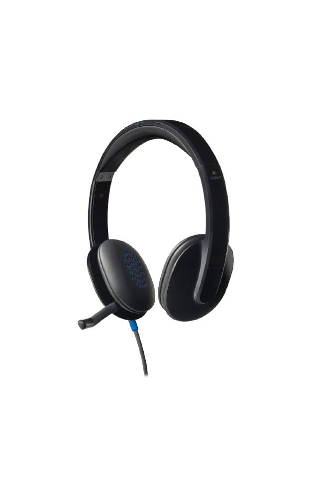 Logitech H540 USB Computer Headset - Black