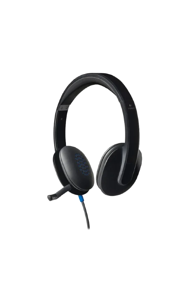 Logitech H540 USB Computer Headset - Black