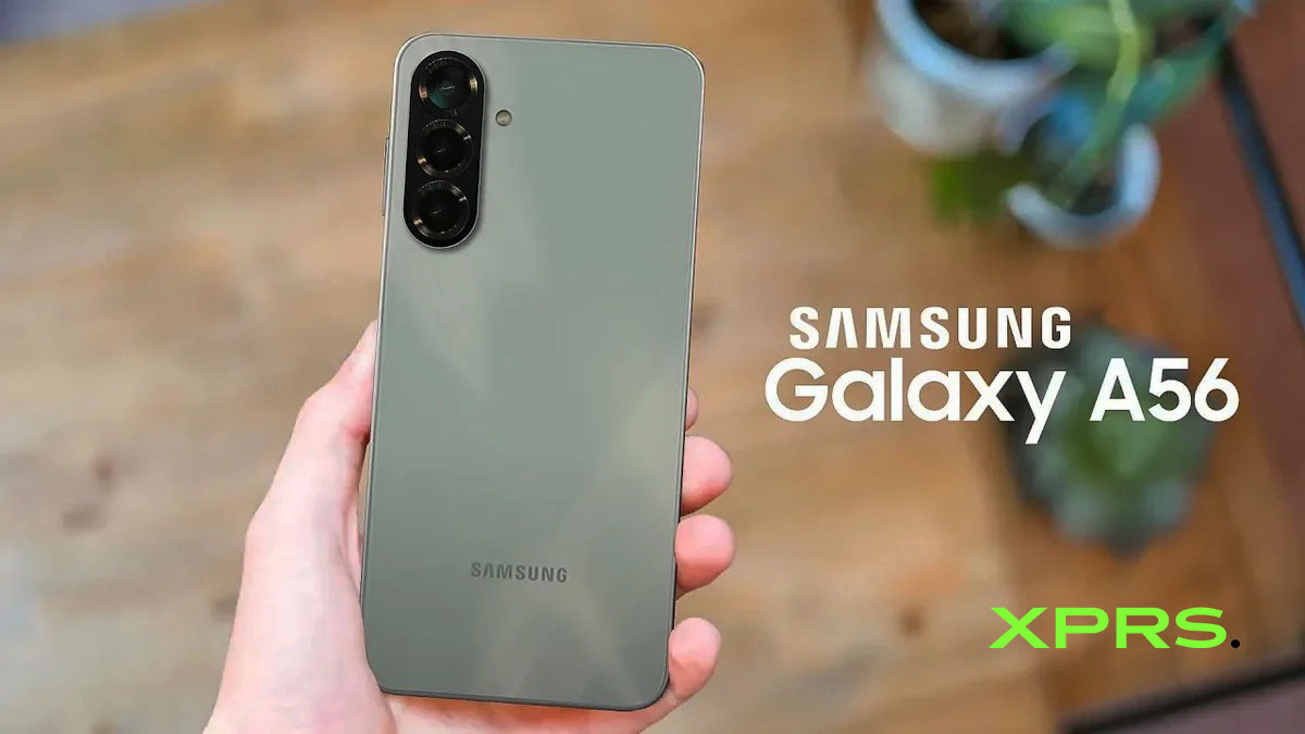 Samsung A56 Price and Specs in Egypt 2025 - XPRS
