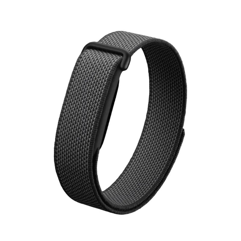 Google Fitbit Air