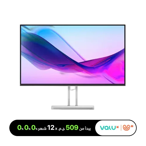 Lenovo L24i-4A (D24238FL0) 23.8-inch IPS FHD 100Hz Monitor