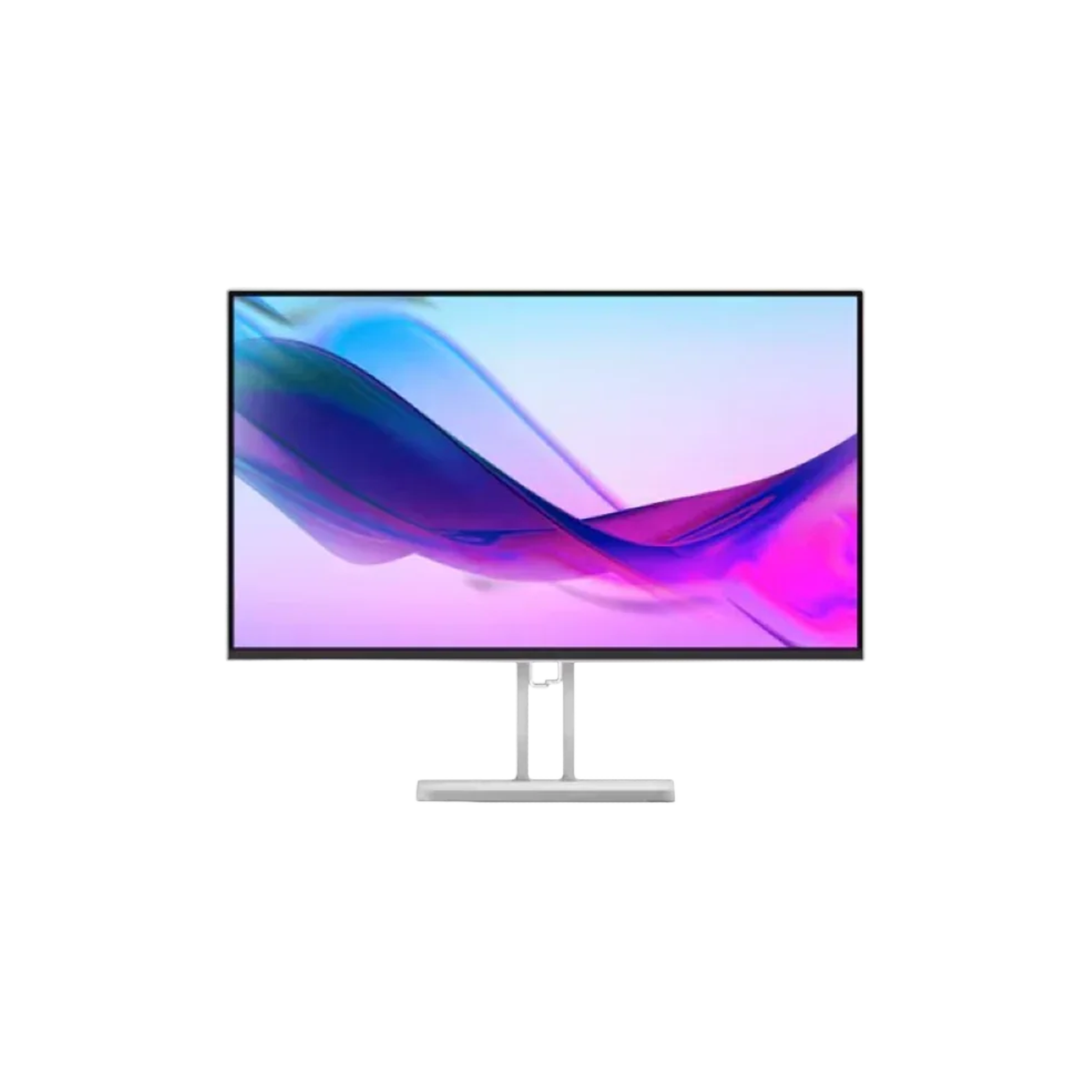 Lenovo L24i-4A (D24238FL0) 23.8-inch IPS FHD 100Hz Monitor