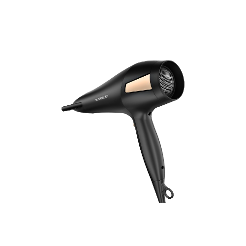 Rush Brush D2 Pro 2500W, Professional Hair Dryer with Removable Air Filter - Black